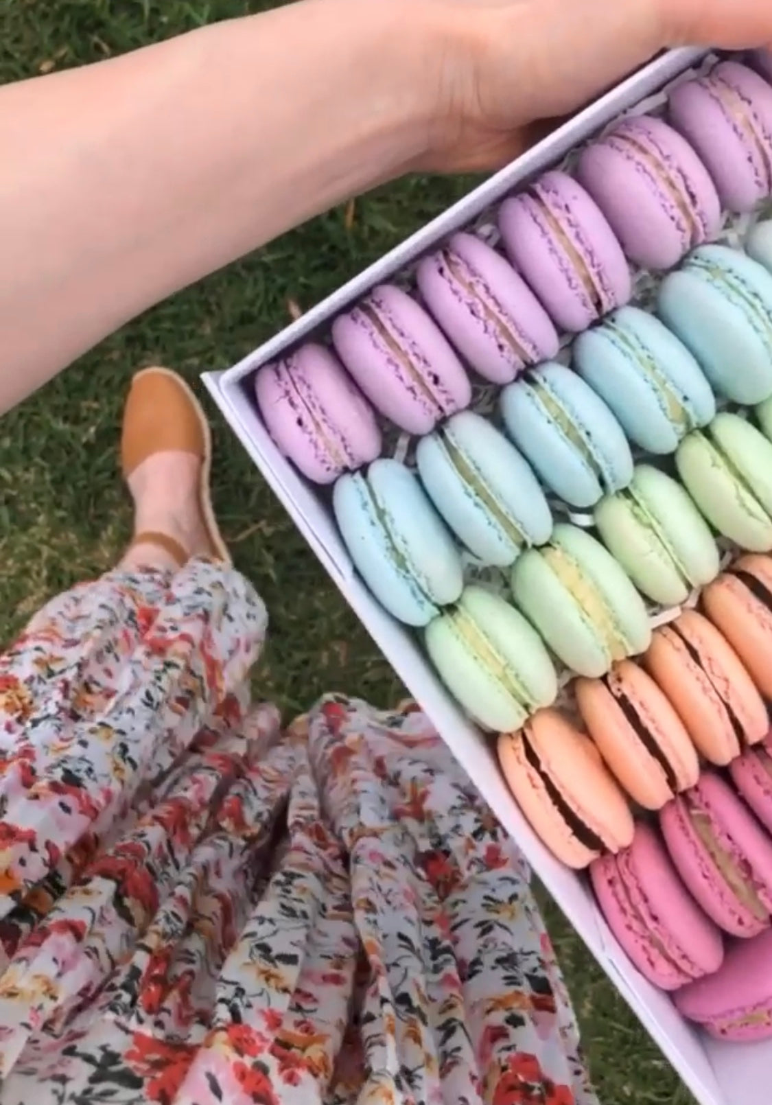 Assorted Macarons - Macaron Delights Sydney